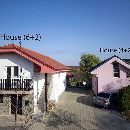 Holiday Home Janko Bogojina Esterno foto