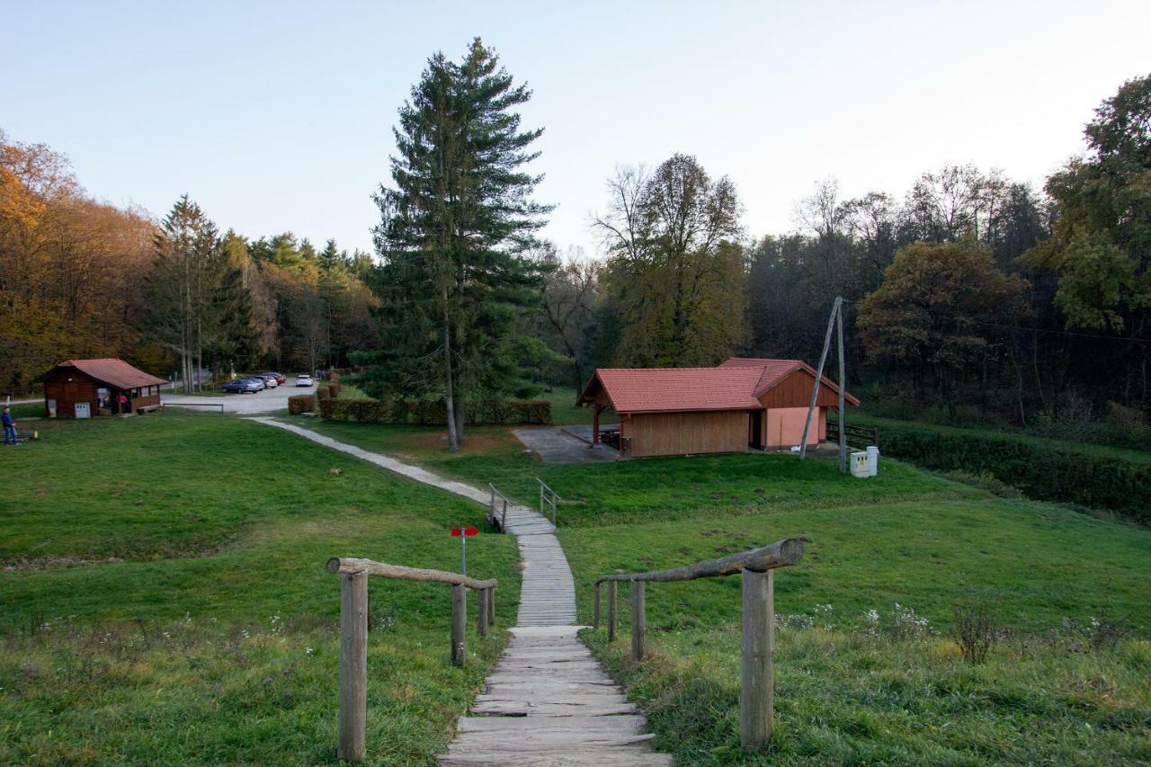 Holiday Home Janko Bogojina Esterno foto